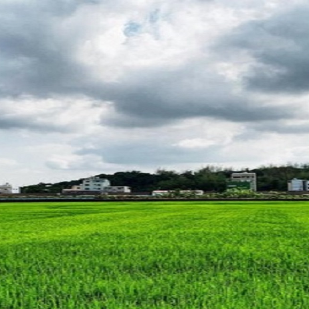 shriram chirping ridge